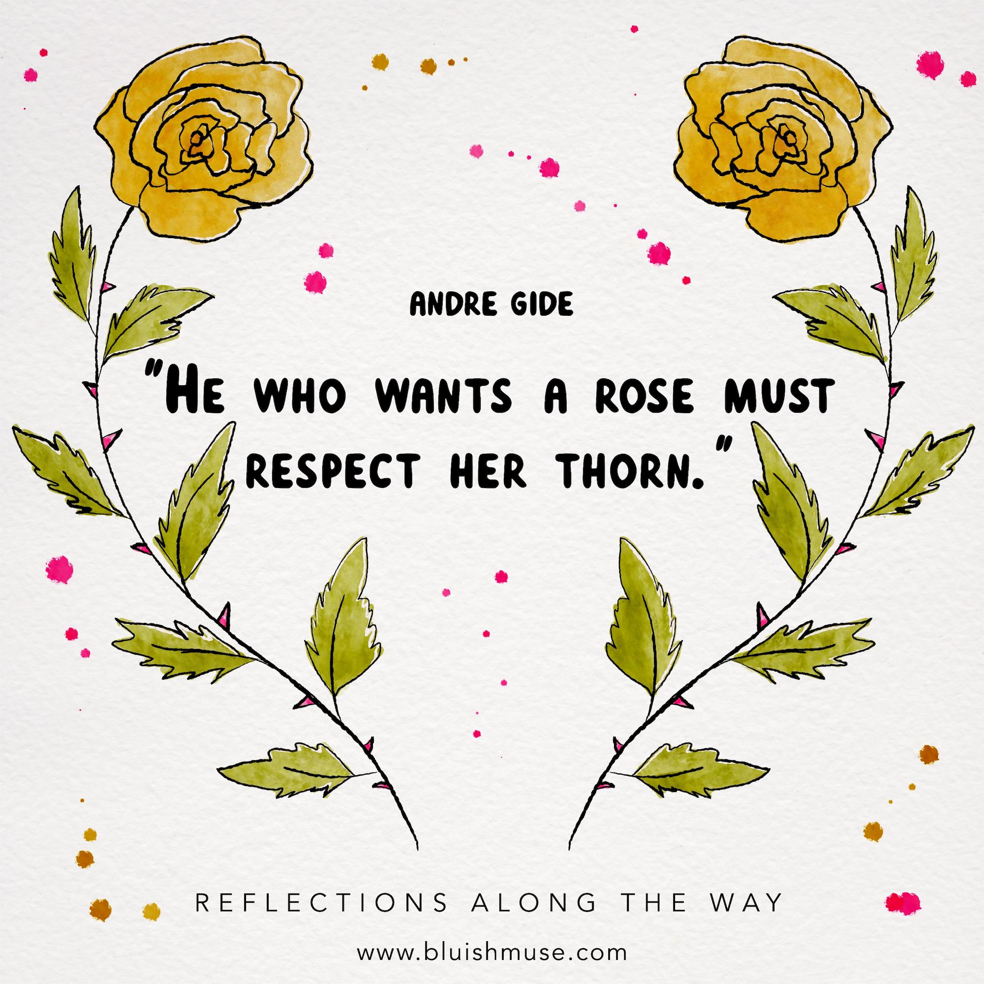 He who wants a rose must…