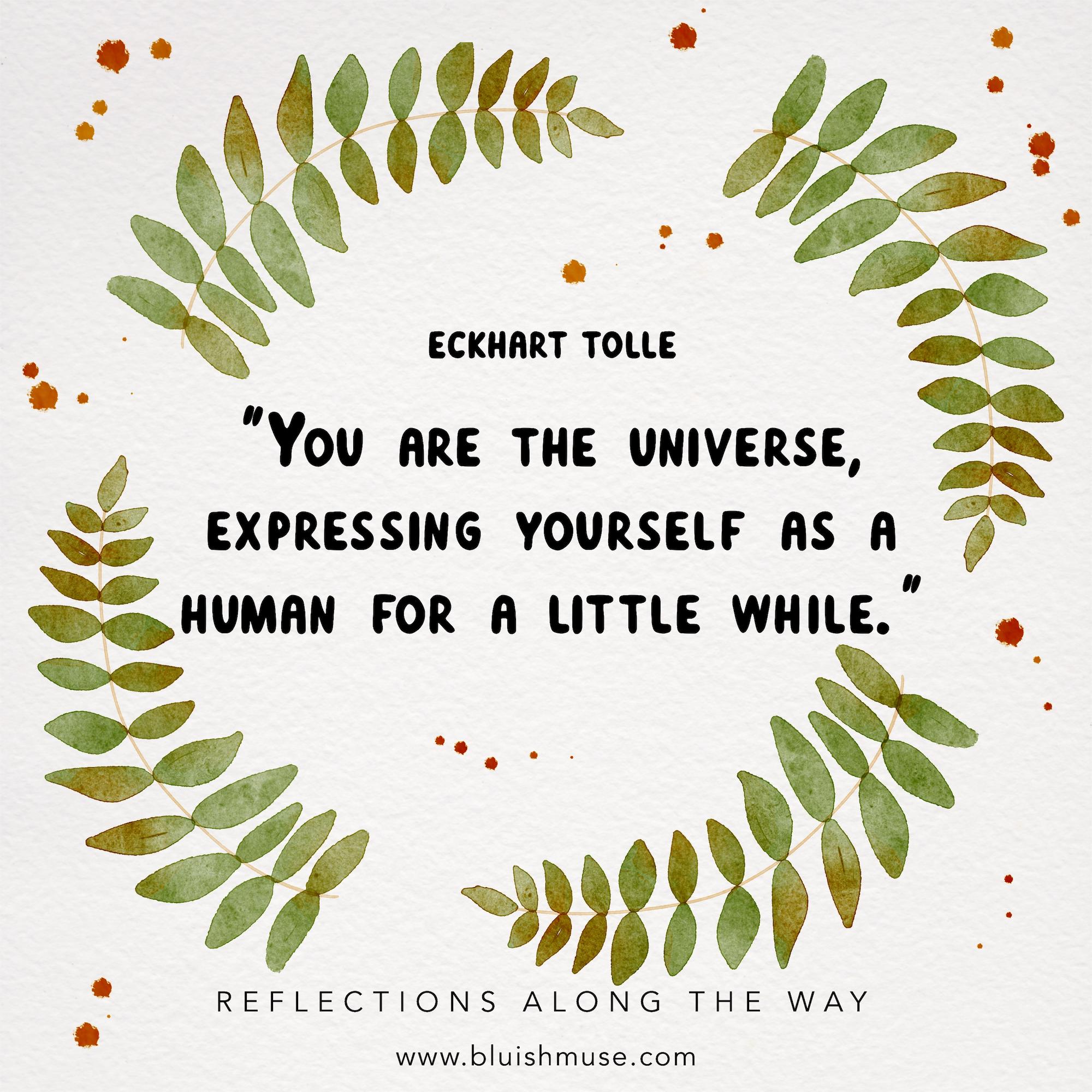 You are the universe…