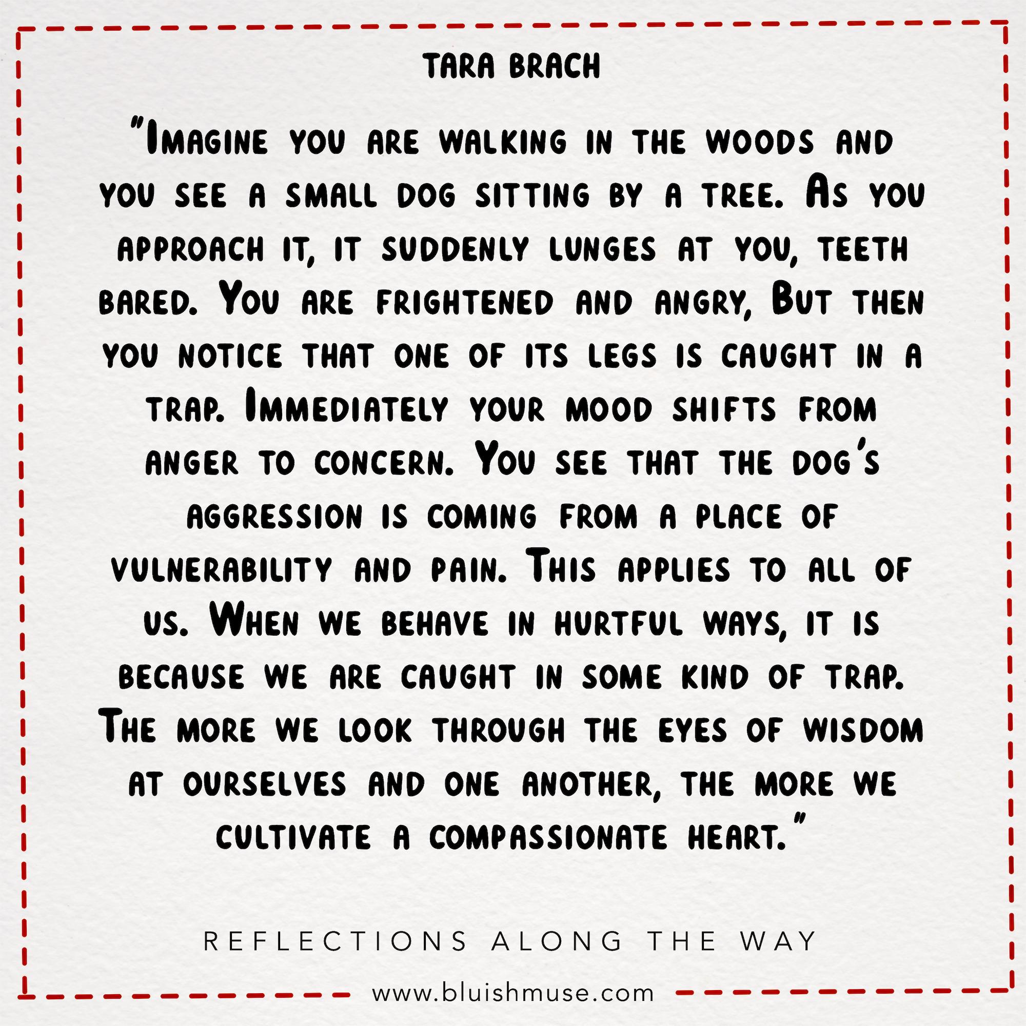 Imagine you are walking in the woods…